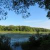 View of Deer Park Pond - Photo credit: Daniela Wagstaff