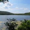 View of Allamuchy Pond - Photo credit: Daniela Wagstaff