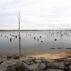 View of Manasquan Reservoir - Photo credit: Daniela Wagstaff