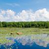 View of Beaver Pond - Photo credit: Jeremy Apgar