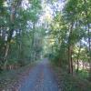 Along the Delaware and Raritan Canal Towpath - Photo credit: Daniela Wagstaff