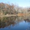 View of Kay Pond - Photo credit: Daniel Chazin