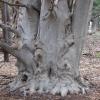 Knobby Knees in Angle Fly Preserve - Photo: Jane Daniels