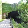 Along the Bronx River Pathway Photo:Jim Simpson