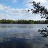 East Creek Pond at Belleplain State Forest - Photo by Daniela Wagstaff