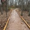 Boardwalk at the Watershed Institute - Photo by Matthew Fecica