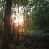 Sunset on the Overlook Trail Photo: Jane Daniels