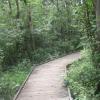 Boardwalk at the Great Swamp Outdoor Education Center - Photo by Daniel Chazin