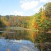 Betchel Lake Photo: Jane Daniels