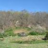 View of the Pond on Bylane Farm Photo: Jane Daniels