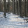 Along the Franklin Parker Trail in the winter - Photo by Daniel Chazin