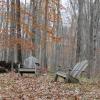 Sitting pretty along the Briarcliff Peekskill Trailway Photo: Jane Daniels