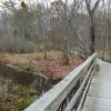 Where does the boardwalk end? Photo: Jane Daniels