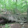 Angle Fly Brook in Angle Fly Preserve - Photo: Jane Daniels