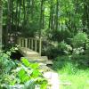 Stream crossing in Angle Fly Preserve - Photo: Jane Daniels