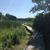 New Jersey Boardwalk on the Appalachian Trail - Photo Moe Lemire