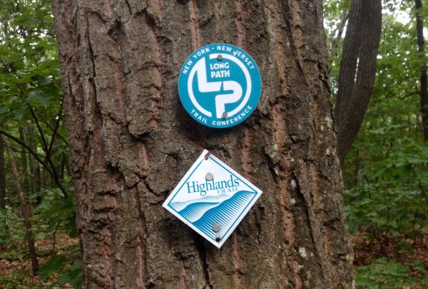 The co-aligned Long Path and Highlands Trail. Photo by Sona Mason