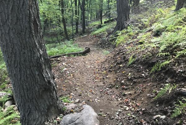 The Hutchinson-Red Back Trail in Sterling Forest State Park. Photo by Erik Mickelson.