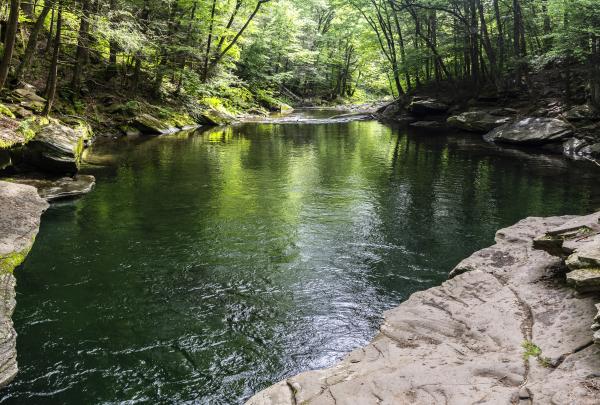 Blue Hole. Photo by Steve Aaron.