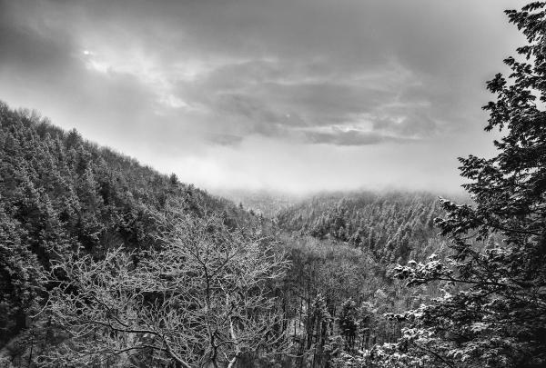 Catskill Valley. Photo by Steve Aaron.