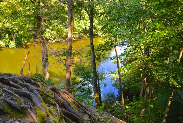 Trail Conference Stewards will be stationed at Croton River Unique Area to help visitors and protect the ecosystem.