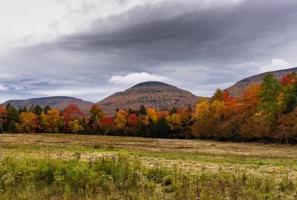 Devil's Path Peaks in Autumn on the Long Path. Photo by Steve Aaron.