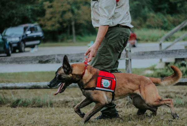 Conservation Dog Fagen + Handler Joshua Beese. Photo by Arden Blumenthal.