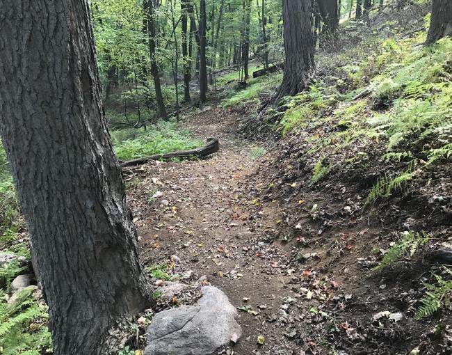 The Hutchinson-Red Back Trail in Sterling Forest State Park. Photo by Erik Mickelson.