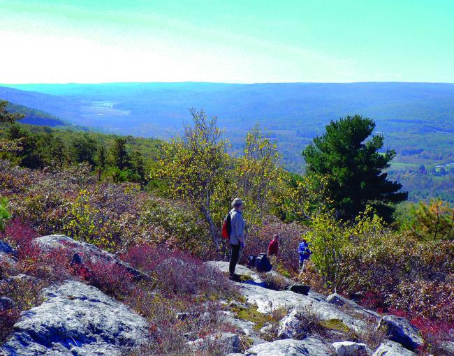 Long Path on the Shawangunk Ridge in Wurtsboro, NY. Photo by Jakob Franke.