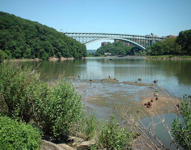 Inwood Hill Park by baslow (Barry Solow)