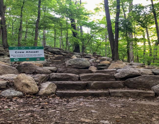 Newly-constructed staircase at Ramapo Valley County Reservation. Photo by Heather Darley.