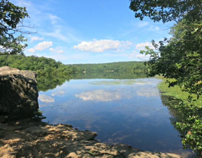 Ramapo Mountain State Forest