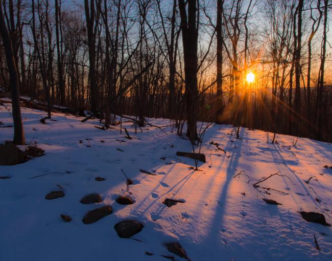 Sunrise on Schunnemunk Mountain State Park. Photo by Steve Aaron.