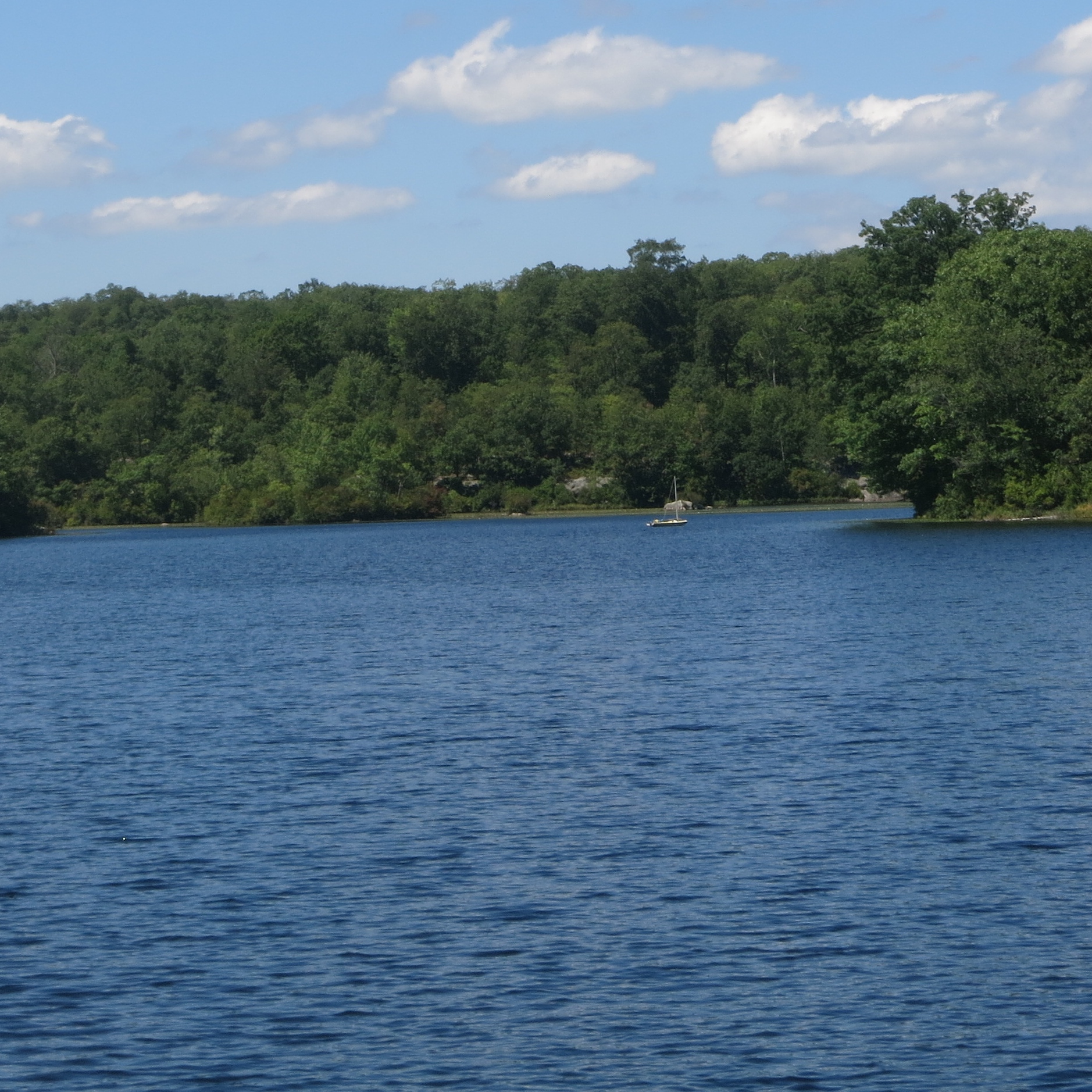 Ramapo Lake in Ramapo Mountain State Forest (Photo Daniel Chazin