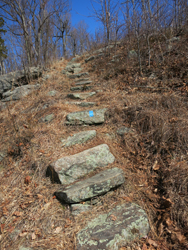 100 Steps up Turkey Mountain Photo by Daniel Chazin.