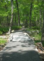 Accessible Section Including Wooden Bridge. Photo by Daniel Chazin.