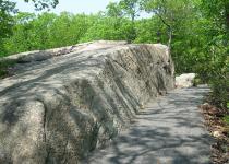 AccessibleTrail Along Huge Boulder Just Before Major Welch Junction. Photo by Daniel Chazin.