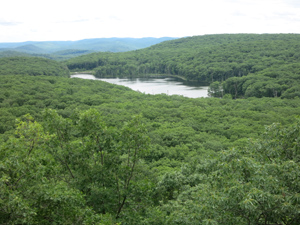 Bog Meadow Pond from Rattlesnake Hill. Photo by Daniel Chazin.