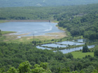 Lower Yards Creek Resevoir. Photo by Daniel Chazin.