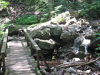 Footbridge Over Gorge Below Cascade. Photo by Daniel Chazin.