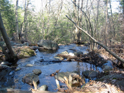 Furnace Brook near AT crossing. Photo by Daniel Chazin.