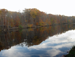 Fyke Pond from the Hemlock Trail. Photo by Daniel Chazin.