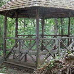 Gazebo. Photo by Daniel Chazin.