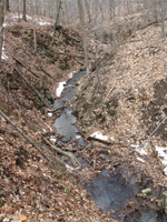 Gorge paralleled by the History Trail. Photo by Daniel Chazin.