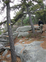 Hiker on the Beacon Hill Trail.