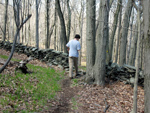 One of many stone walls. Photo by Daniel Chazin.