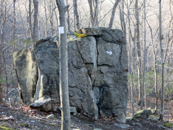 Large glacial erratic. Photo by Daniel Chazin