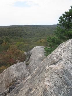 Open rocck near summit of Rattlesnake Hill. Photo by Daniel Chazin.