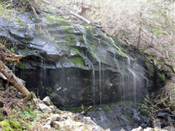 Waterfall at end of Purple Trail. Photo by Daniel Chazin.