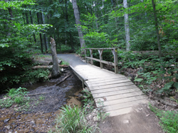 Footbridge on the Yellow Trail. Photo by Daniel Chazin.